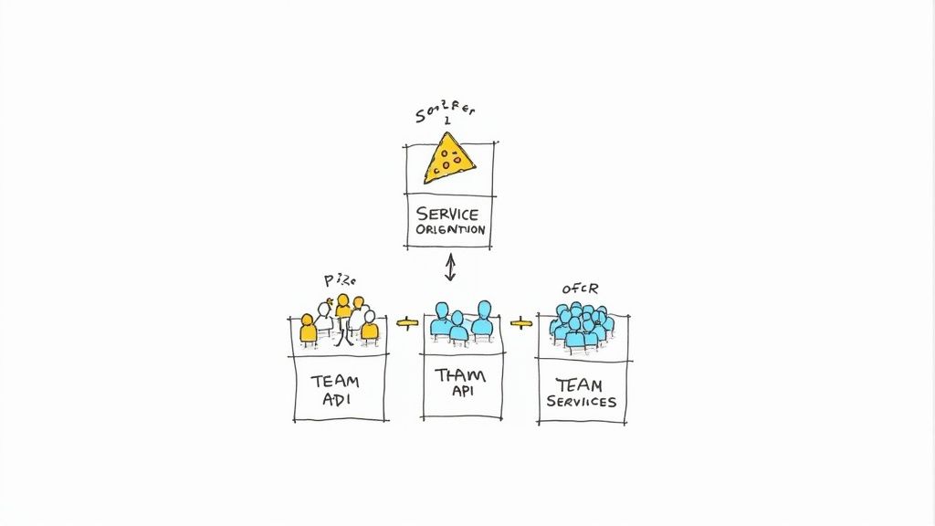 Diagram illustrating how service orientation connects with ADI, API, and Services teams.