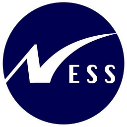 Favicon of Ness Digital Engineering